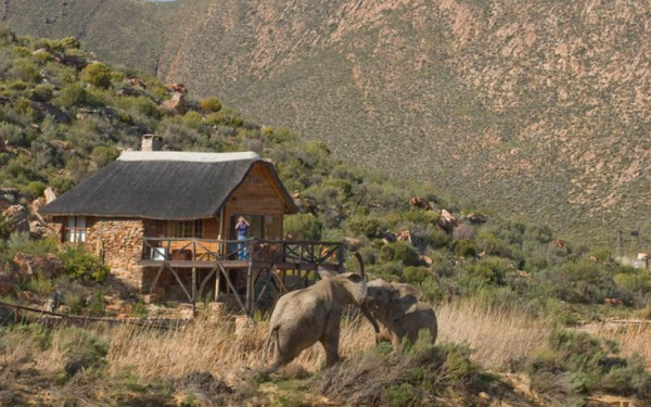 Aquila Big Five Game Reserve Safari in Cape Town