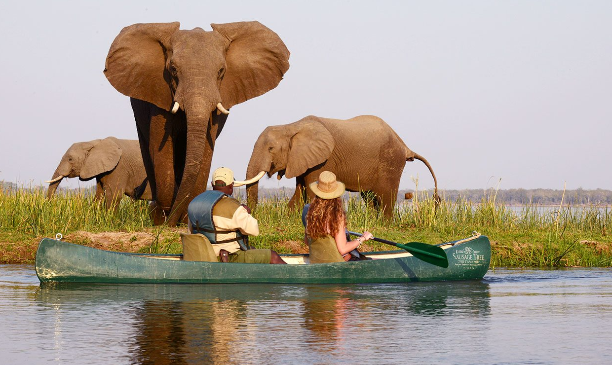 Canoe Safaris