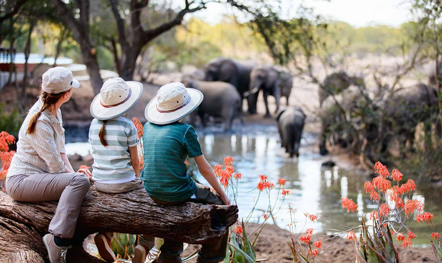 Family Safaris