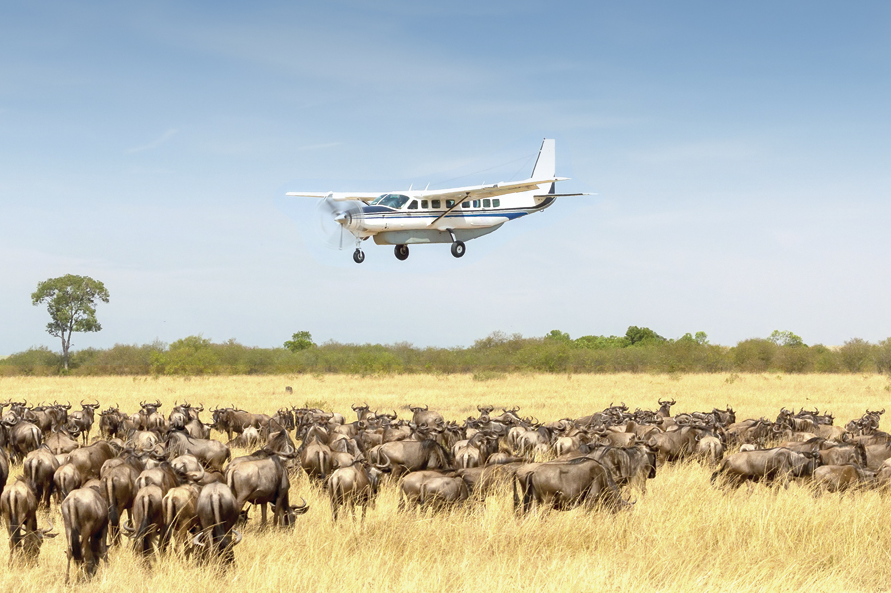 Fly-In Safaris