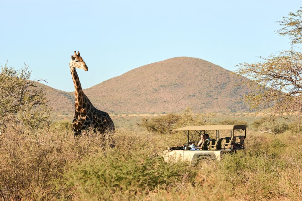 Game Drives