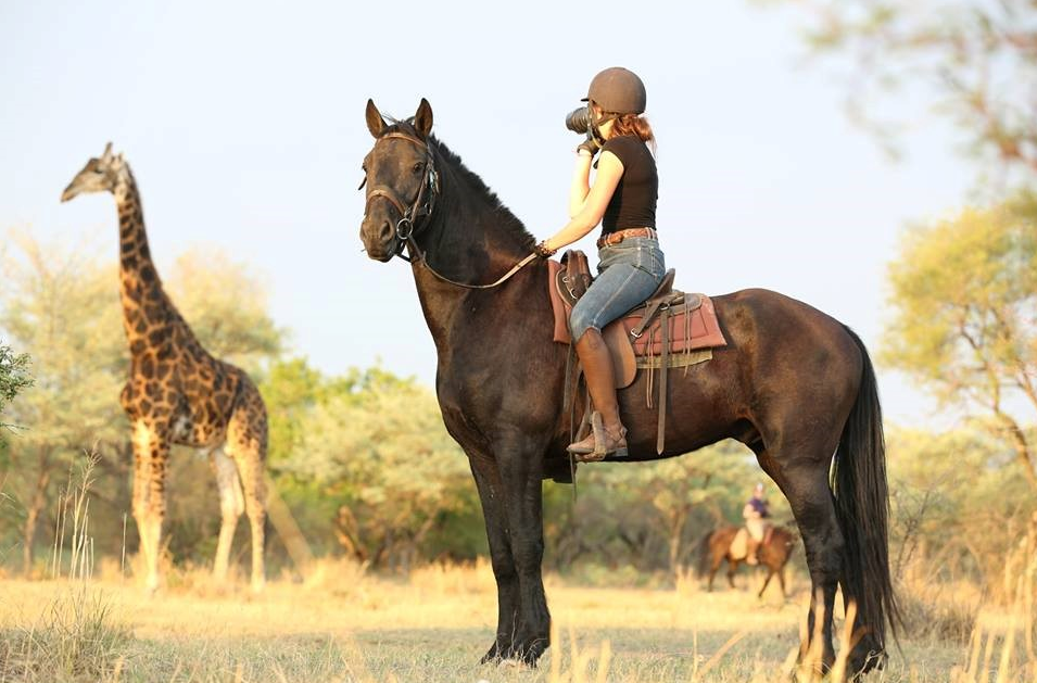Horseback Safaris
