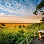 Best Time to Visit Kenya on Safari: A Month-by-Month Guide (2026)