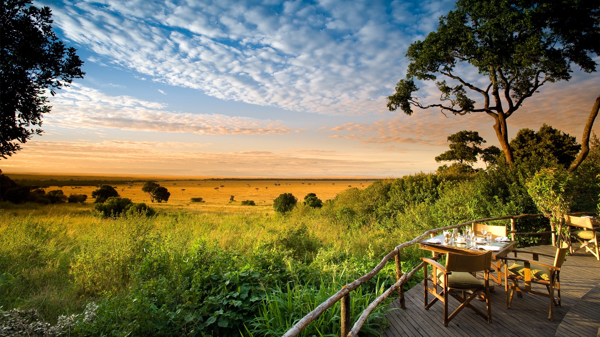 Safari landscape in Kenya