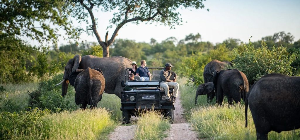 Kruger National Park