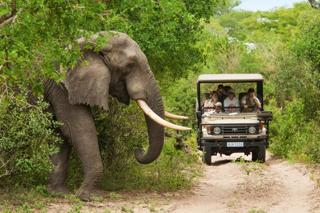 Kruger National Park