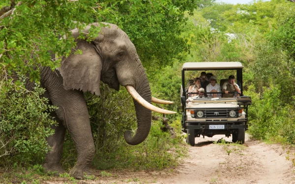 3-Day Kruger National Park Safari from Johannesburg