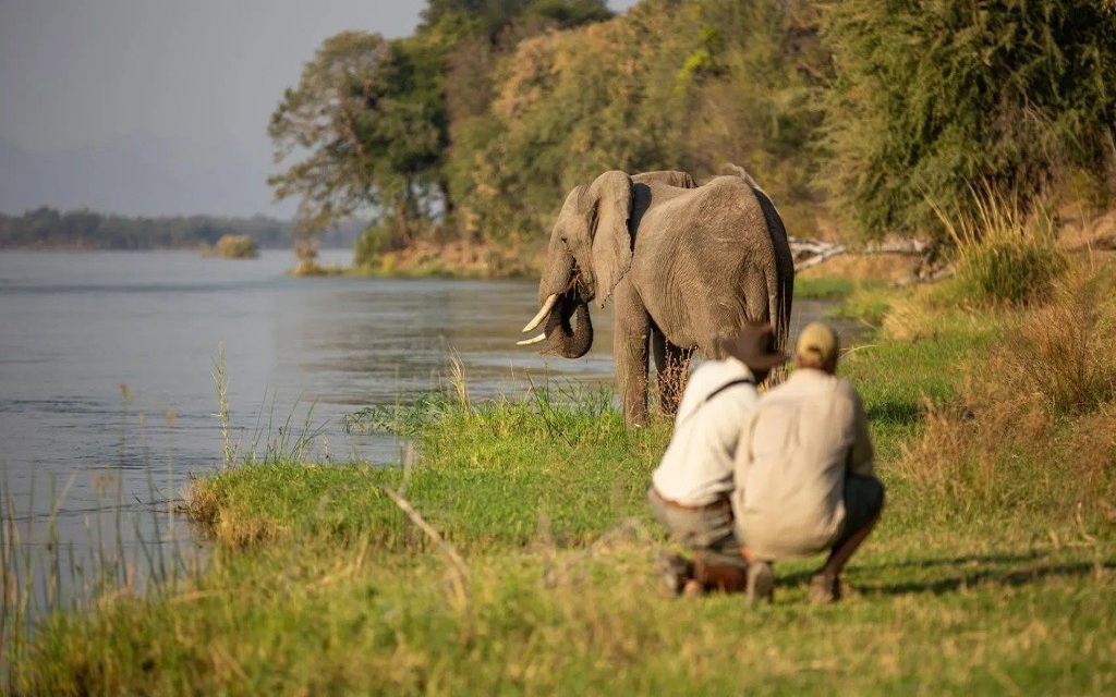 Safari landscape in Zimbabwe