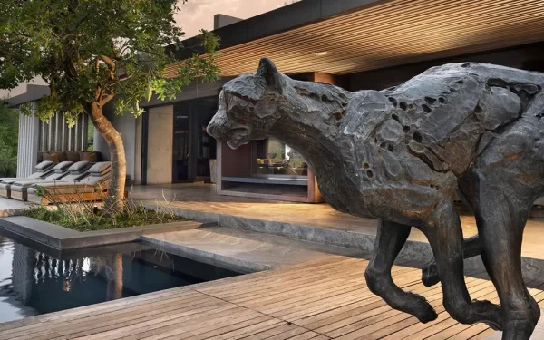 8-Day Bespoke South Africa: The Art of Safari