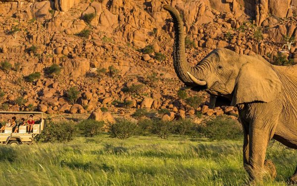 Namibia’s Etosha, Damaraland & Sossusvlei Fly-In