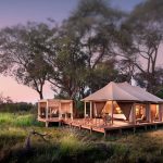 Best Time to Visit Botswana on Safari: A Month-by-Month Guide (2026)