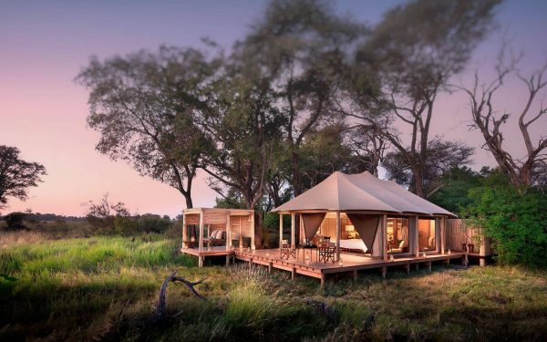 Best Time to Visit Botswana on Safari: A Month-by-Month Guide (2026)