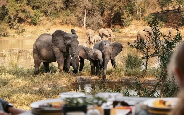 Best Luxury Lodges in the Greater Kruger (2026)