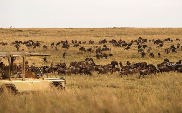 10-Day Good Value Migration & Beach